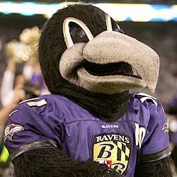 Ravens Mascots  Baltimore Ravens –